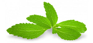 Stevia the Amazing Natural Sweetener
