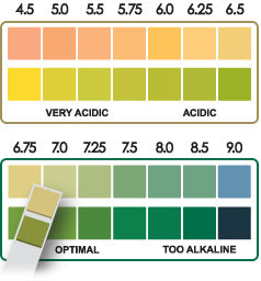 Metagenics pH Test Strips | HealthMasters